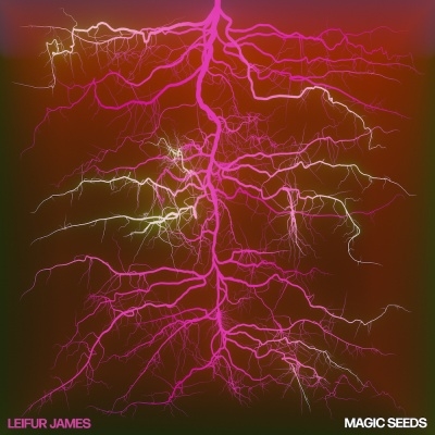 Leifur James/Magic Seeds̸/Ruby Vinyl[ALNLP73W]