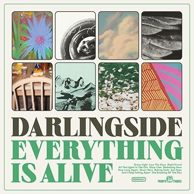Darlingside/Everything Is Alive[MDR005]