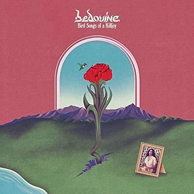 Bird Songs of a Killjoy