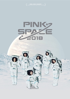 Apink/PINK SPACE 2018 Concert Photobook BOOK+DVD+GOODS[KTMCD0934]