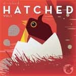 ダーティーバード : ハッチド vol.1 ダーティーバード : ハッチド vol.1