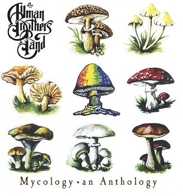 TOWER RECORDS ONLINE㤨The Allman Brothers Band/Mycology An Anthology[MOCCD13951]פβǤʤ2,690ߤˤʤޤ
