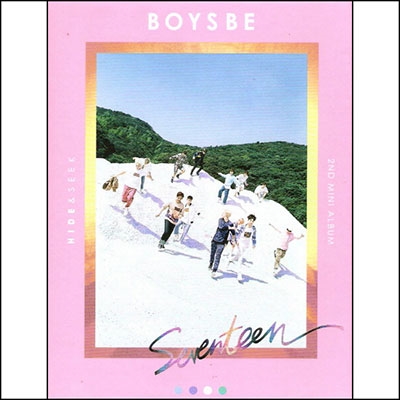 SEVENTEEN/Boys Be: 2nd Mini Album (Hide Version)