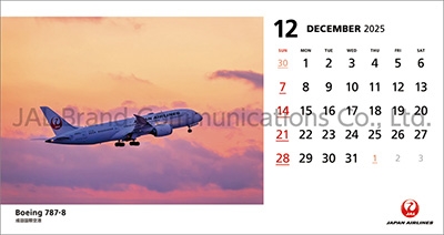 JAL FLEET 大型判〔日本語版〕【期間限定販売12月23日終了】未開封