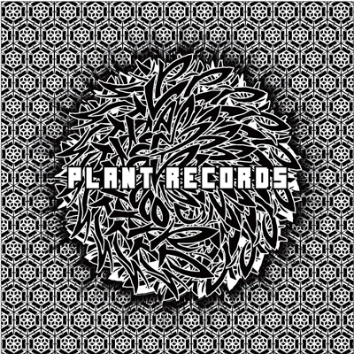 PLANT RECORDS V.A. BLACK