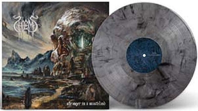 Stranger In Wasteland＜限定盤/Grey Vinyl＞