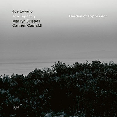 Joe Lovano/Garden of Expression[352638]