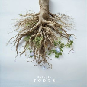 roots roots