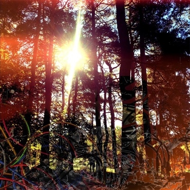 TOWER RECORDS ONLINE㤨Viviankrist/Cross Modulation Bootleg Remixes[RITE071LP]פβǤʤ3,090ߤˤʤޤ