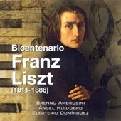 Bicentenary Franz Liszt - Piano Works