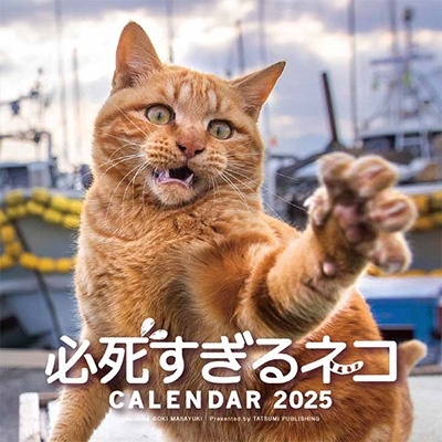 2025 必死すぎるネコカレンダー 2025 必死すぎるネコカレンダー