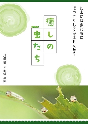 癒しの虫たち