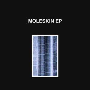 moleskinβ