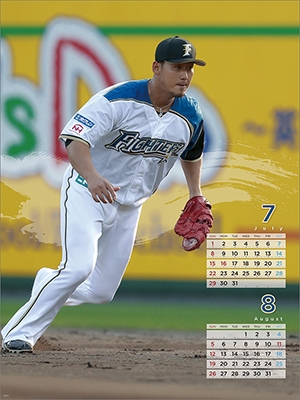 北海道日本ハムファイターズ 中田翔 F79 遅かっ