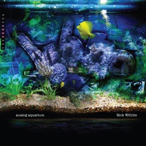 Analog Aquarium