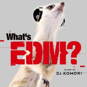 What's EDM? MIXED BY DJ KOMORI