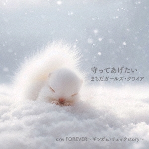 ޤ륺磻/äƤ/FOREVER󥬥ࡦå story[SAT-062]