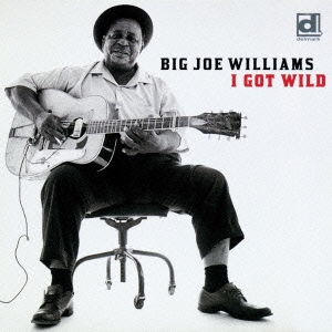 Big Joe Williams/åȎ磻ɡס[PCD-20309]