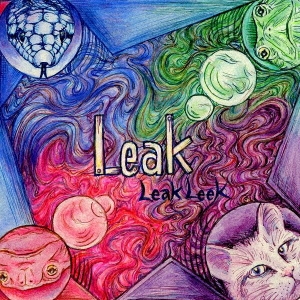 LeakLeek/LEAK[CAR-40]