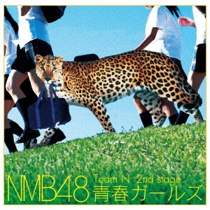 NMB48/Team N 2nd stage Ľե륺[YRCS-95012]