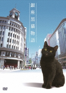 銀座黒猫物語 DVD コンプリートセット