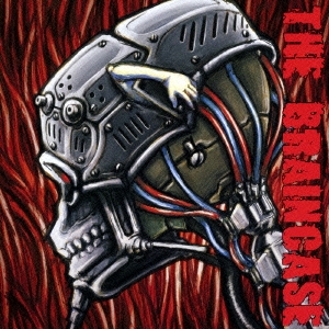 THE BRAINCASE