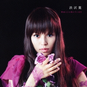 花はここに咲いています