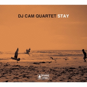 DJ Cam Quartet/STAY㴰ס[FAMC-096]