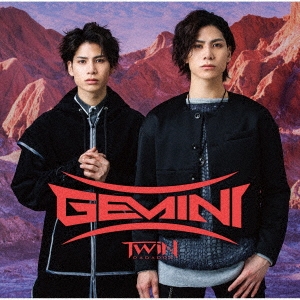 Gemini＜Type-B＞
