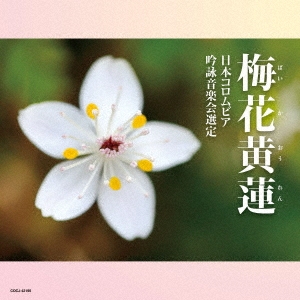  ǯ(ϻ)ӥӥ󥯡  CD ֲ߲ϡ[COCJ-42190]