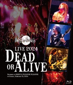 Live 2024 -Dead or Alive-