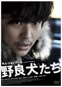 野良犬たち