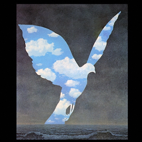 シー＜初回生産限定盤＞