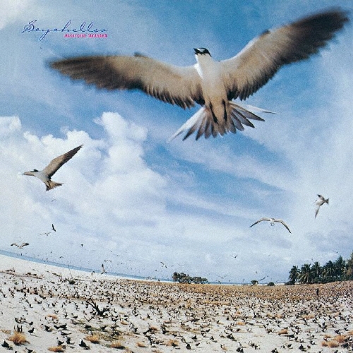 /SEYCHELLES[UPCY-6709]