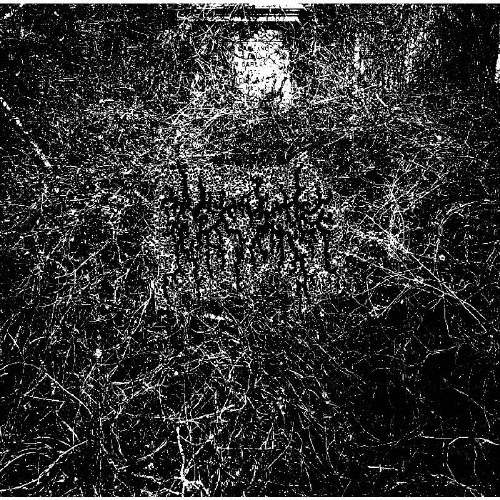 TOWER RECORDS ONLINE㤨Arid/Harvesting the Toil of Flesh Beyond the Entombment of the Extinction That it Bore[HMP-113]פβǤʤ2,750ߤˤʤޤ