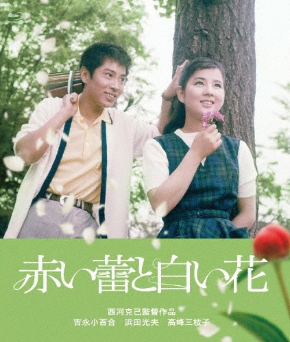 赤い蕾と白い花