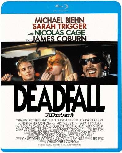 プロフェッショナル