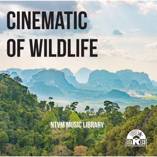 NTVM Music Library CINEMATIC OF WILDLIFE