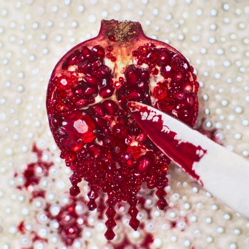 少年ピカレスク+アーバンギャルドの昭和百年野音戦争