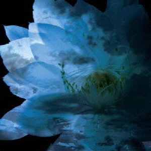 (未使用･未開封品)　LUNA SEA MEMORIAL COVER ALBUM-Re:birth- sdt40b8 Luna Sea Memorial Cover Album -Re:Birth- | HMV&BOOKS online