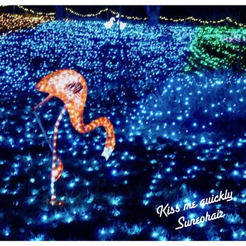 kiss me quickly＜タワーレコード限定＞