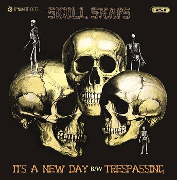 It's A New Day / Trespassing＜限定盤＞