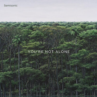 Semisonic/You're Not Alone[SEMI01]