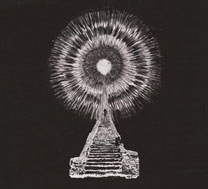 Visions in Bone Visions in Bone