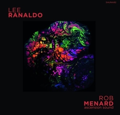 Lee Ranaldo/Lee Ranaldo / Rob Menard Split Release[769791986091]