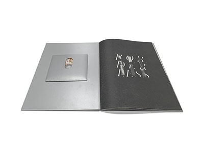 雨のパレード/BORDERLESS ［2CD+ドイツ製本アートブック］＜完全生産限定盤＞