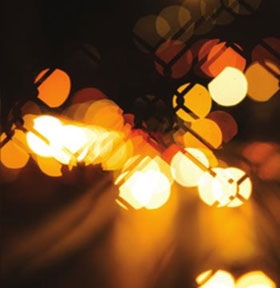 Vibrant Forms II Vibrant Forms II