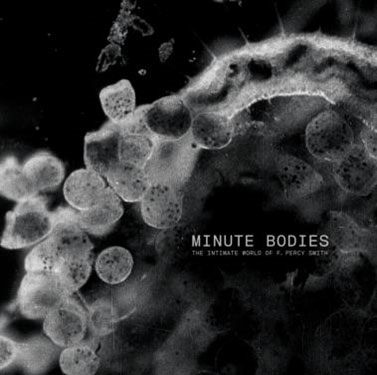 Minute Bodies: The Intimate World of F. Percy Smith [CD+DVD]＜限定盤＞