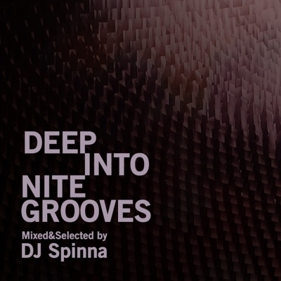 Deep Into Nite Grooves Mixed and Selected by DJ Spinna