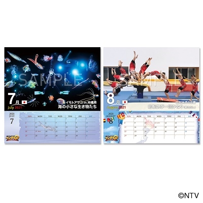 dショッピング |イッテQ! カレンダー2021 卓上タイプ Calendar 